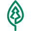 forests.org