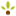 mayasuperfoods.com