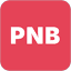 pnb.pl