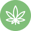 themedical***doctors.com