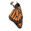 aaloa.org