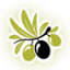 arapache.com