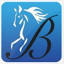 bridlewoodinsurance.com