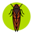 cicadasafari.org