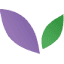 florisoftweb.nl