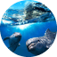 futureoceans.com