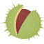 worldconkerchampionships.com