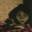 badparenting.app
