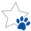 bulverdeanimalhospital.com