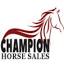 championhorsesales.com
