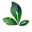 energiapropria.com.br