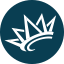 grace360.org