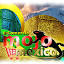 mojomexico.company