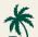 palmtreesmontessori.com