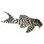 planetcatfish.com