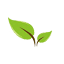 proxer.ru