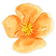 sistersofpolly.com