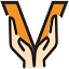 vncorthopaedicclinic.in