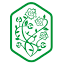 floribunda.pl