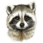 jenots.net