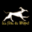 lesfilmsduwhippet.com