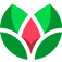 maxsi.id