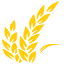 naturesownbread.com
