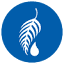 renewlotion.com