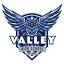 valleyowls.org
