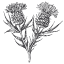 weddingsofvail.com