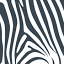 zebraplumbing.com.au