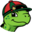 betturtle.com
