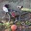 bikesbrusselsandballs.com