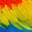 birdbathsforsale.com