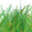 landmyoung.co.uk