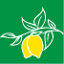 lemondetox.co.kr