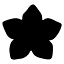 scalawagmagazine.org