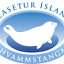 selasetur.is