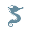 snuti.net