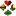 watten.org