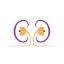 abiramikidneycare.com