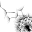 allergiepraxis.ch