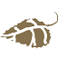 aspenwooddental.com