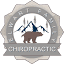 clintontownshipmichiropractor.com