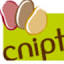 cnipt.fr