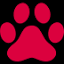 cougardunsoir.com