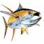 fishing.com.hk