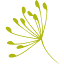 florandonole.it