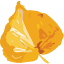 recolorado.com