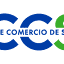 ccs.cl